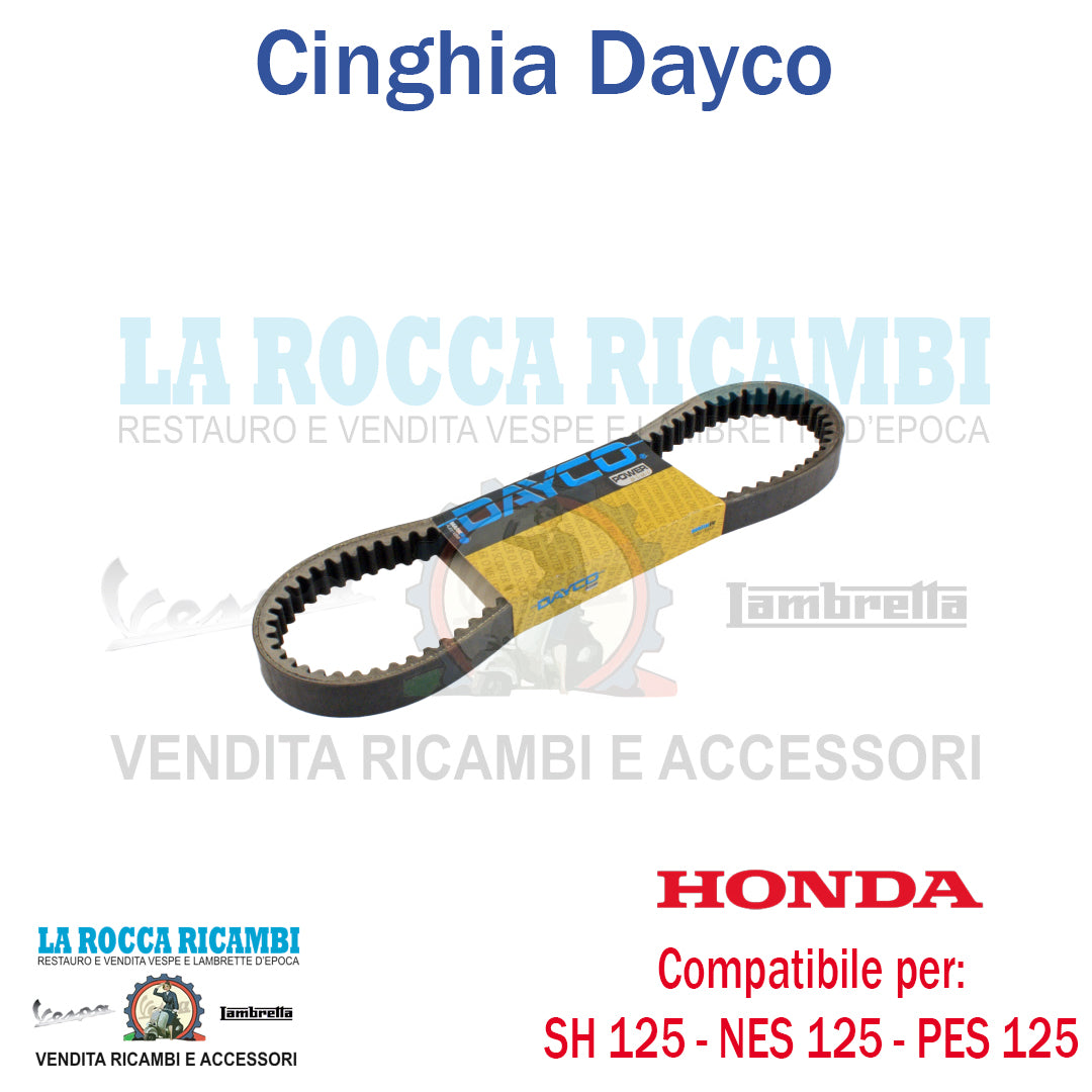 Cinghia HONDA SH - CHIOCCIOLA