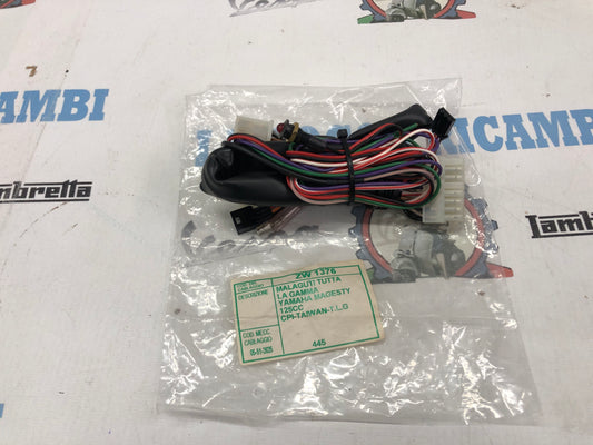 Cablaggio Antifurto MALAGUTI (Tutta la gamma) - YAMAHA MAJESTY 125