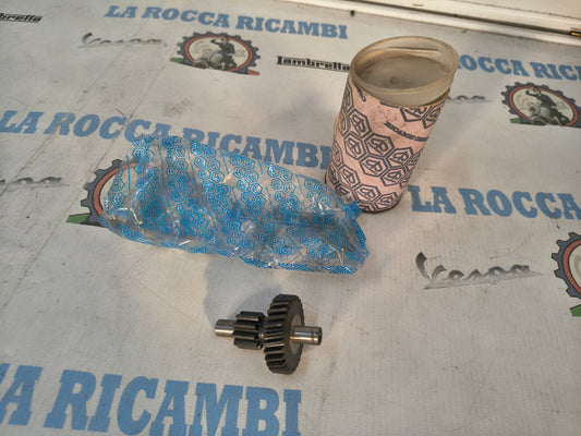 Ingranaggio Doppio Intermedio Variatore Z10/29 Piaggio Ciao 80 / 88 176449