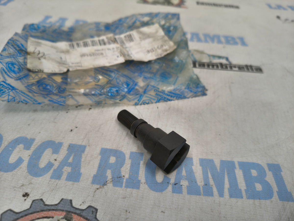 VITE TRASCINAMENTO DEPRESSORE PER PIAGGIO PORTER 493272