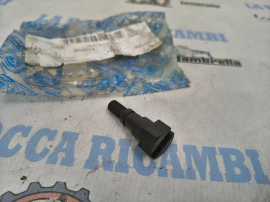 VITE TRASCINAMENTO DEPRESSORE PER PIAGGIO PORTER 493272