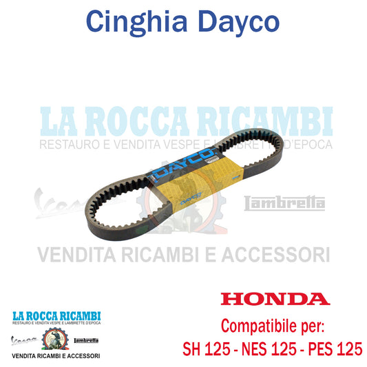 Cinghia HONDA SH - CHIOCCIOLA