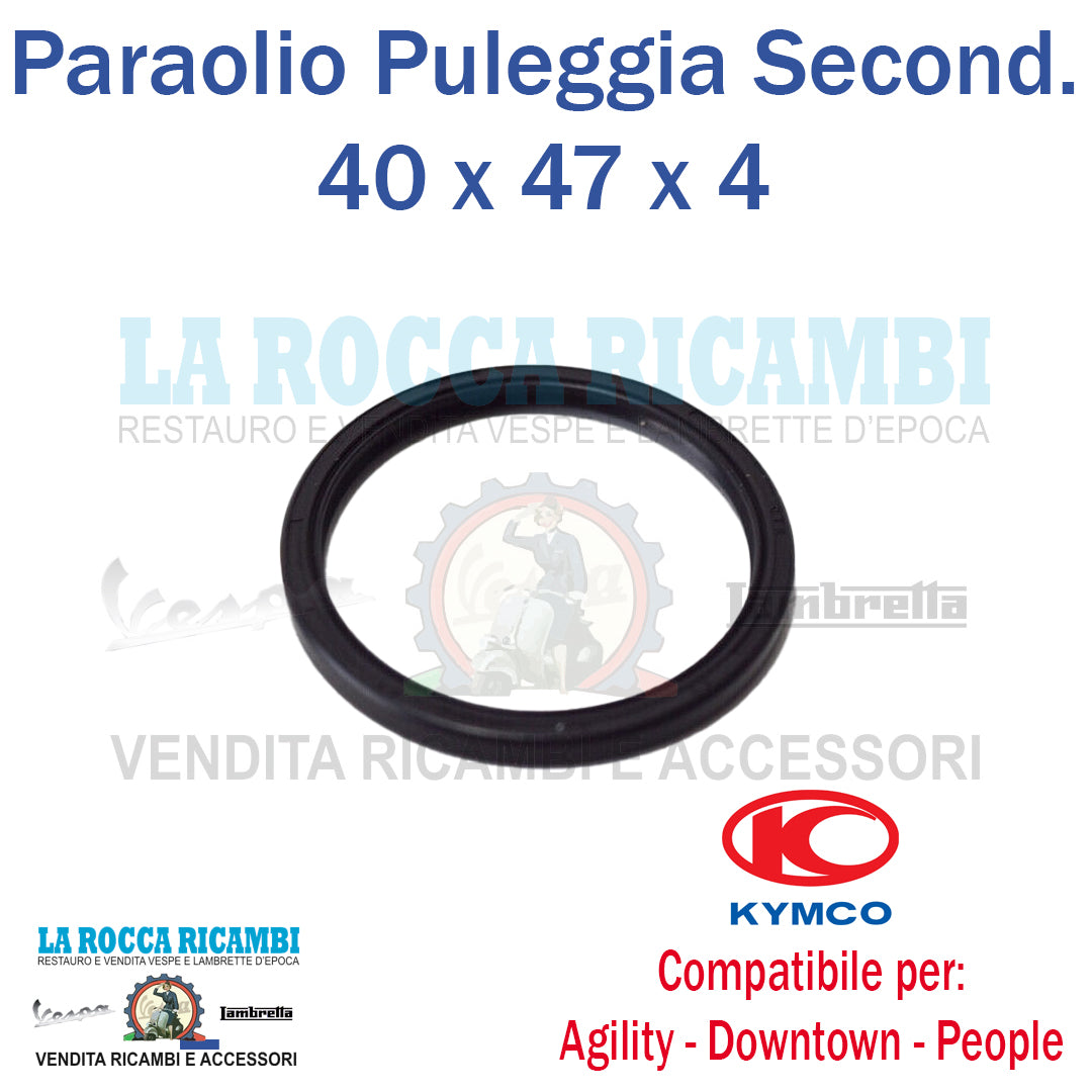 Paraolio Puleggia Secondaria Mobile 40 X 47 x 4 Kymco Agility - Downtown - People 200/250/300/350