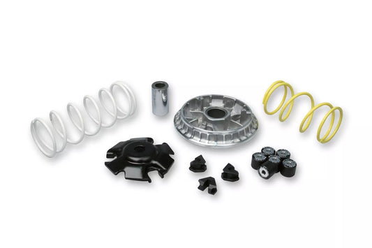 VARIATORE MALOSSI MULTIVAR HONDA FORZA 125 SH 125/150 4T